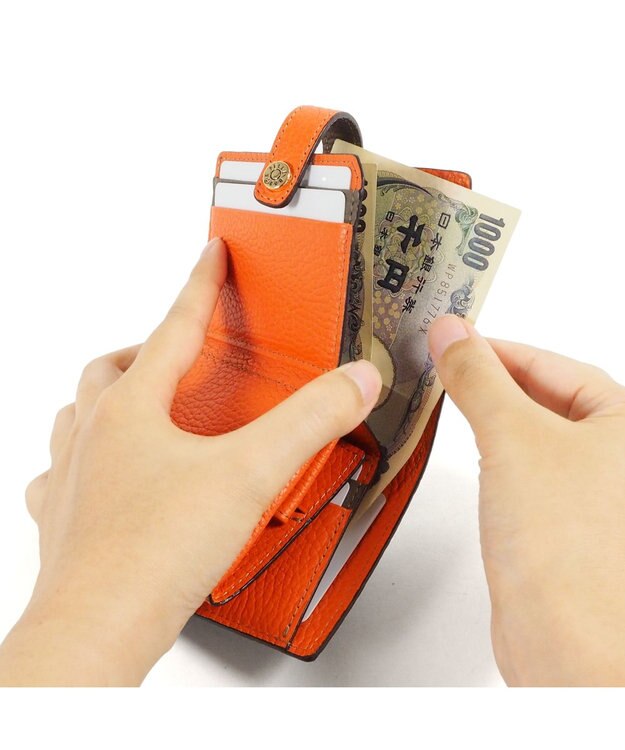 PELLE BORSA 二つ折り財布 Reinette Goods レネットグッズ 4761 トープ
