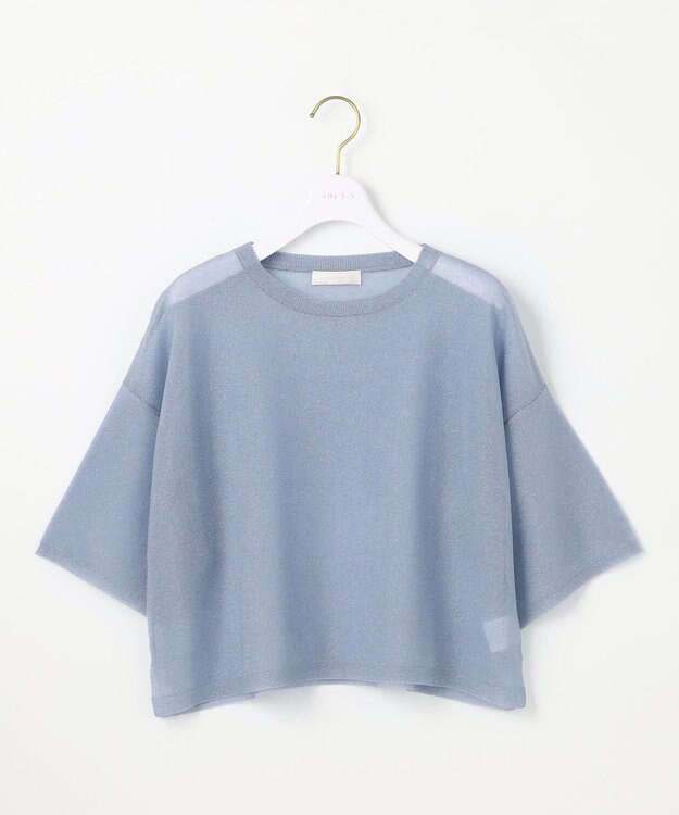 ANY SIS L 【洗える】シアー ニットT ブルー