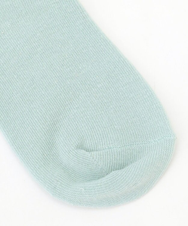 ANY KIDS 【3点セット】ソックス (イヌ&チェリー) ライトグリーン系