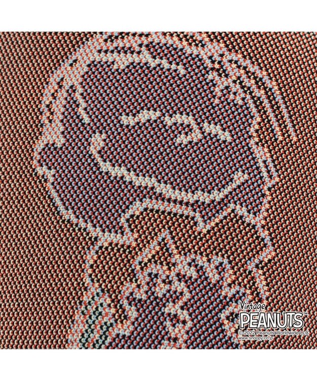 ROOTOTE 8242【スヌーピー：インテリアトート】/ IP.ポーノ.ベビールー.ピーナッツ-6T 05：ライナス