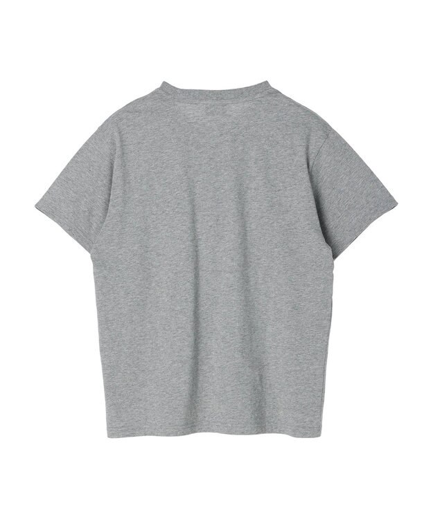 Green Parks ■ＪＵＲＡＳＳＩＣ　ＰＡＲＫ　Ｍｒ．　ＤＮＡ　Ｔ Gray Mixture