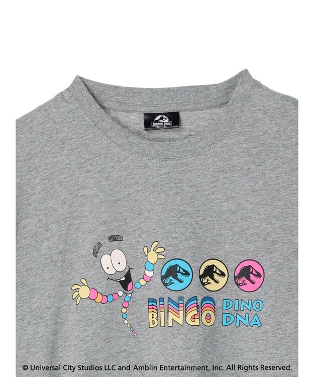 Green Parks ■ＪＵＲＡＳＳＩＣ　ＰＡＲＫ　Ｍｒ．　ＤＮＡ　Ｔ Gray Mixture