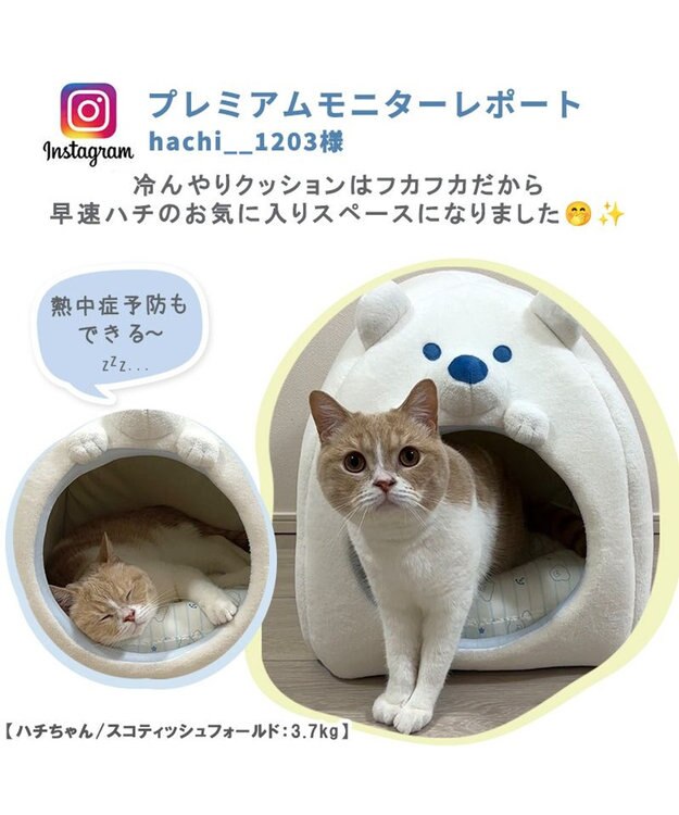 PET PARADISE ペットパラダイス しろくま 接触冷感 クール ハウス  (38×38cm) 白~オフホワイト