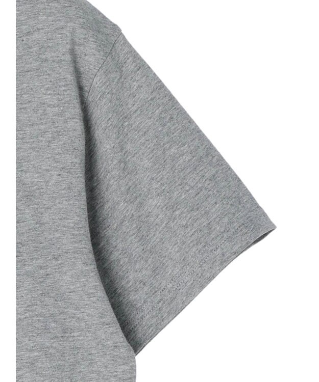 Green Parks ■ＪＵＲＡＳＳＩＣ　ＰＡＲＫ　Ｍｒ．　ＤＮＡ　Ｔ Gray Mixture