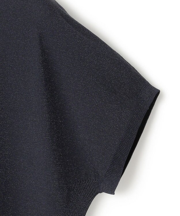 23区 【洗える】レーヨンポリエステルストレッチ プルオーバー ラメニット ネイビー系