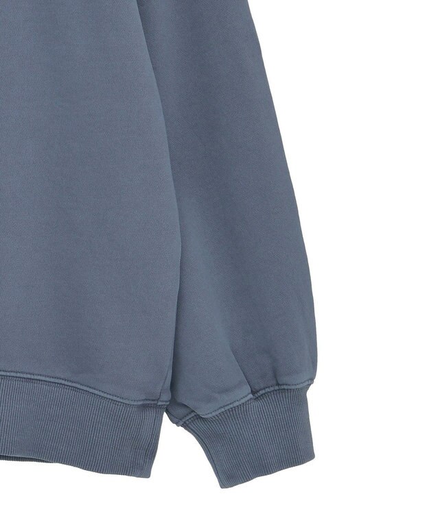 Green Parks ・ＤＯＵＢＬＥ　ＦＬＡＧＳ　カットオフピグメントスウェ Navy