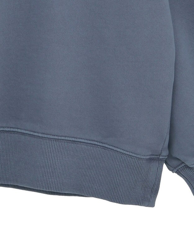 Green Parks ・ＤＯＵＢＬＥ　ＦＬＡＧＳ　カットオフピグメントスウェ Navy