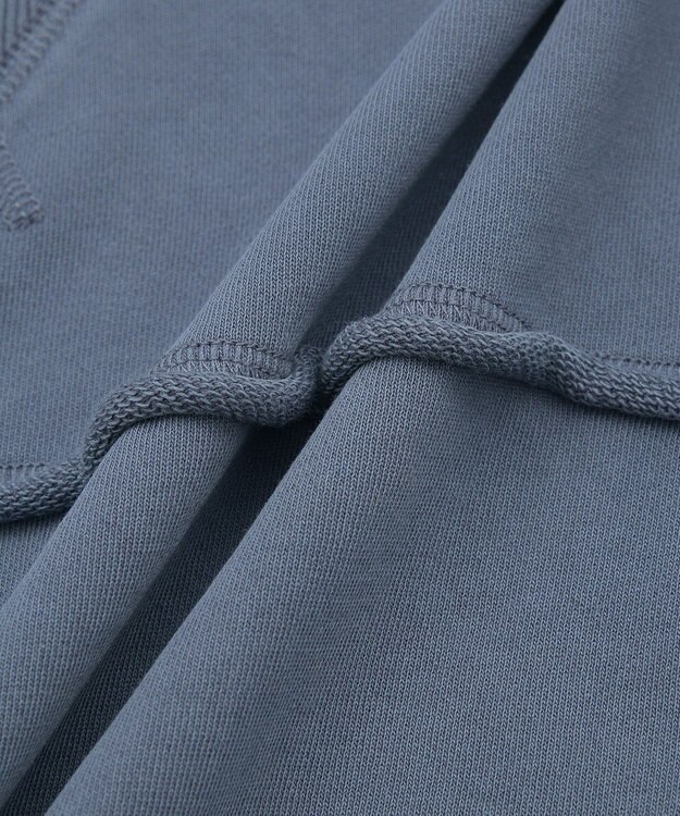 Green Parks ・ＤＯＵＢＬＥ　ＦＬＡＧＳ　カットオフピグメントスウェ Navy