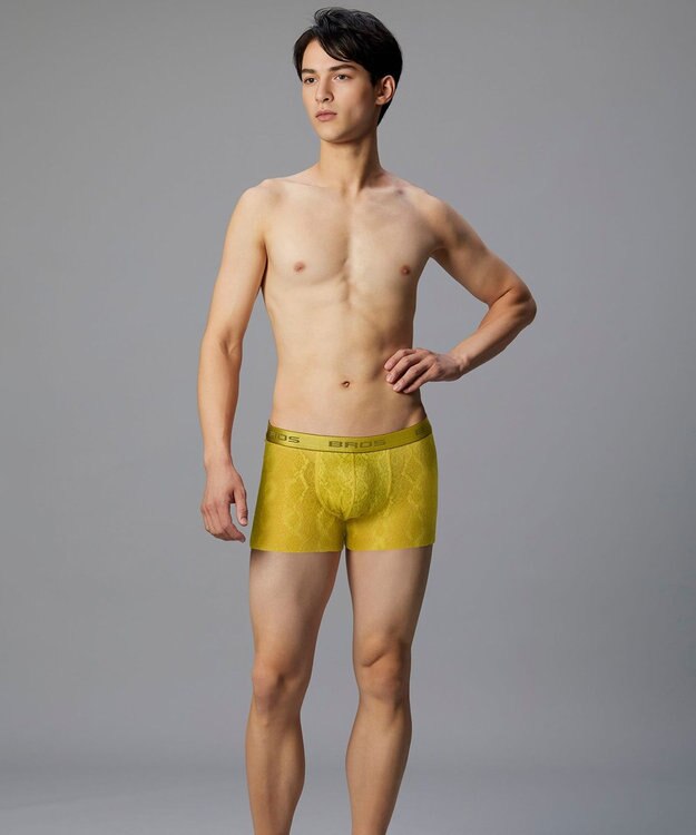 WACOAL MEN ボクサーパンツ【レースボクサー】フロント快適グラマラス 通気性 フリーなカッティング(裾部分) 前閉じ レース 下着 GT3341 /ブロス バイ ワコールメン イエロー