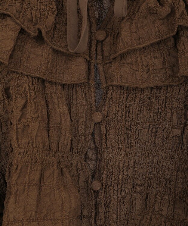 Green Parks ２ＷＡＹフリルブラウス Brown