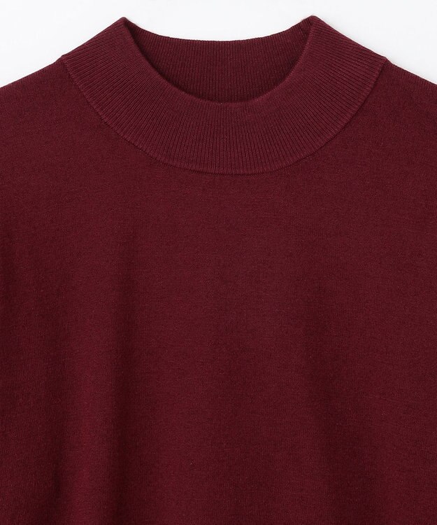 ANY 【洗濯機可/吸湿発熱】パフスリーブパールニット ボルドー