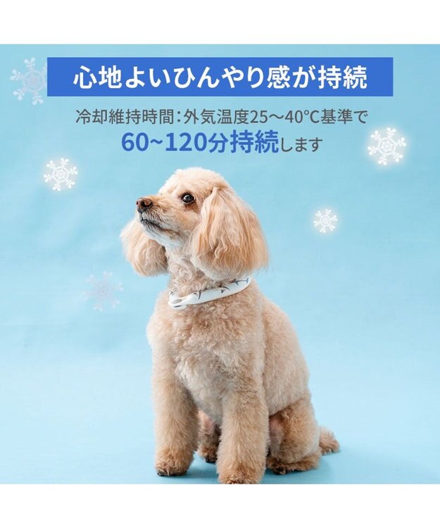 PET PARADISE ペットパラダイス ２８℃ クールリング ＳＳ 《サメ柄》 ブルー