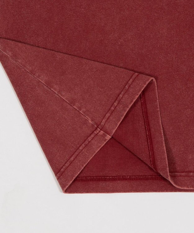 WEGO グラフィックBIG　T（SS） レッドその他