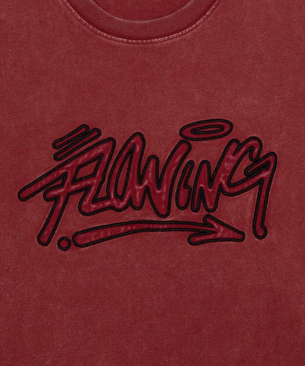 WEGO グラフィックBIG　T（SS） レッドその他