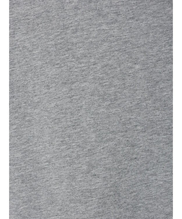 Green Parks ■ＪＵＲＡＳＳＩＣ　ＰＡＲＫ　Ｍｒ．　ＤＮＡ　Ｔ Gray Mixture