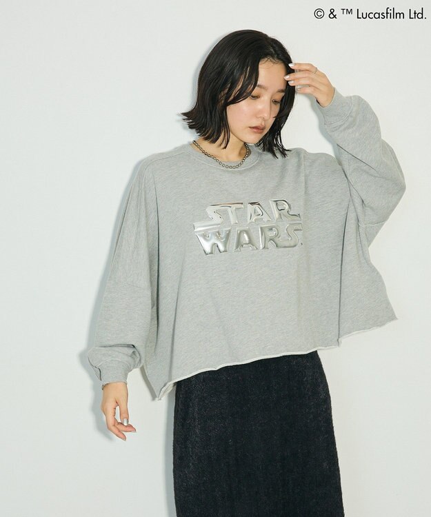 Green Parks ＳＴＡＲ　ＷＡＲＳ／メタルプリントスウェット Gray Mixture
