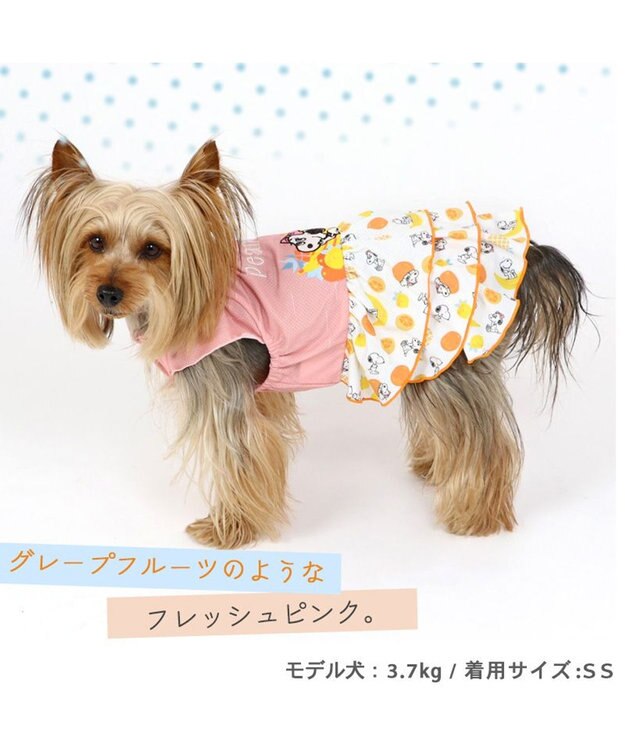 PET PARADISE 犬の服 春夏 ひんやり クール メッシュ 接触冷感 虫よけ スヌーピー フルーツ柄ワンピース 【小型犬】クールマックスエコメイド オレンジ