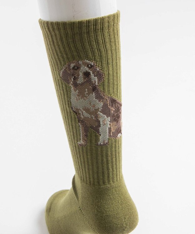 WEGO パターンデザインソックス（R） 柄13