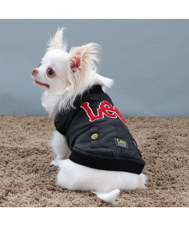 PET PARADISE Lee サガラ刺繍 ブルゾン 小型犬 黒