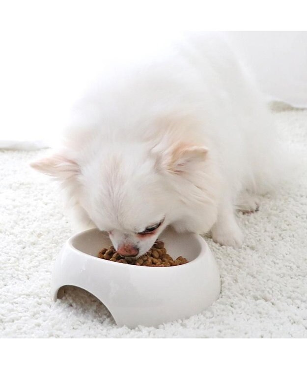 PET PARADISE ≪配合リニューアル≫ ペットパラダイス 国産 ドッグフード フローラ 1kg 0