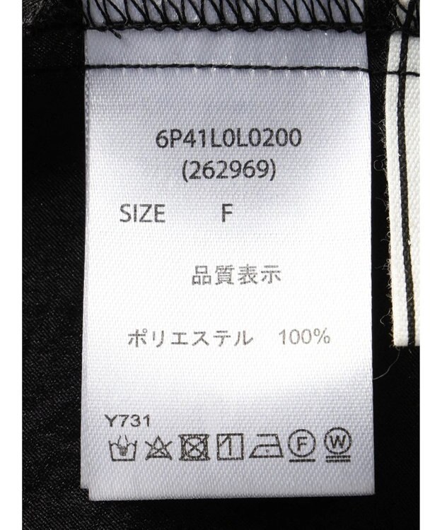 Green Parks ・ＥＬＥＮＣＡＲＥ　ＤＵＥ　シアーフリルティアードスカート Black