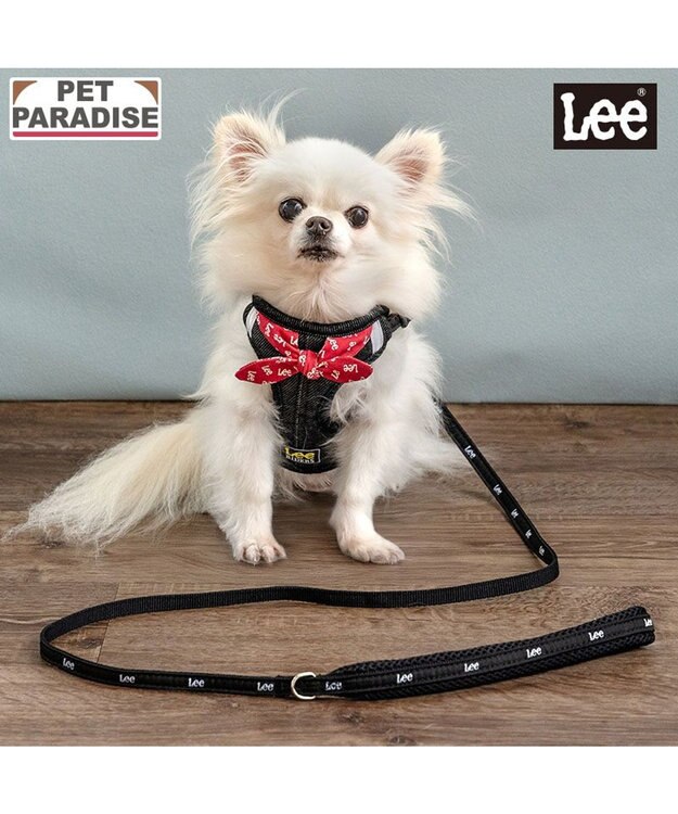 PET PARADISE Lee ループノット ハーネス＆リード 小型犬 Ｓ ブラック