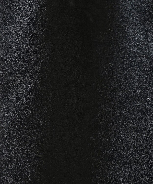 Green Parks ・ＥＬＥＮＣＡＲＥ　ＤＵＥフェイクレザーＷ－ＺＩＰスカー Black