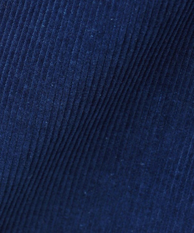 BEIGE， 【洗える・Precious 11月号掲載】BANGS / コットンコーデュロイバギーパンツ Indigo