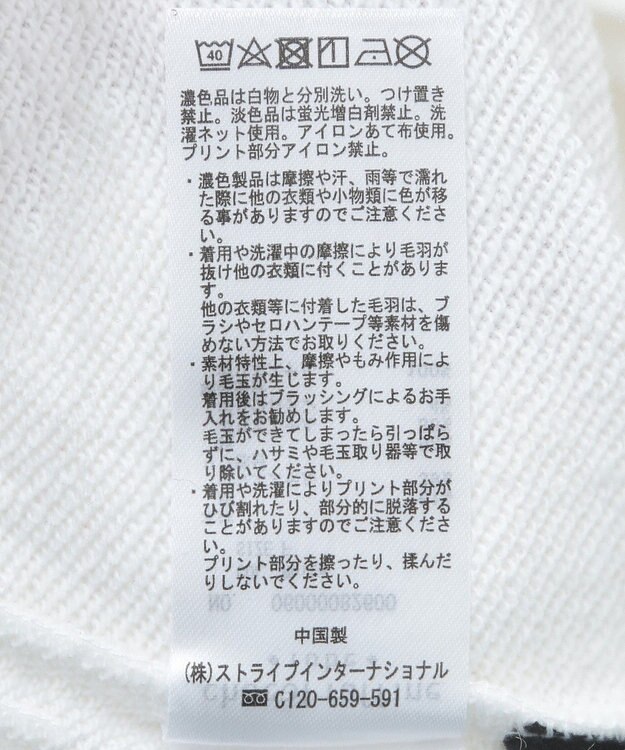 Green Parks ミッキー＆フレンズ／刺繍裏毛プルオーバーⅡ White