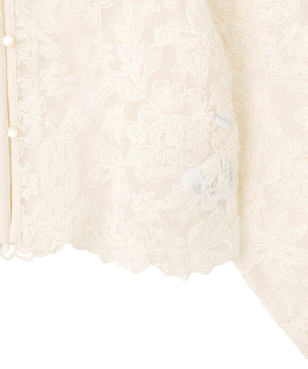 AMERICAN HOLIC 【前後2WAY】シアーレースブラウス Ivory