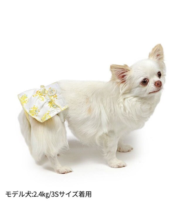 PET PARADISE ペットパラダイス サニタリーパンツ 《ミモザ柄》 小型犬 ミモザ柄