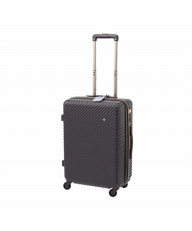 ACE BAGS & LUGGAGE 【雑誌掲載】 HaNT×Jewelna Rose コラボ スーツケース Mサイズ 06822 ハント ジュエルナローズ ダークブラウン