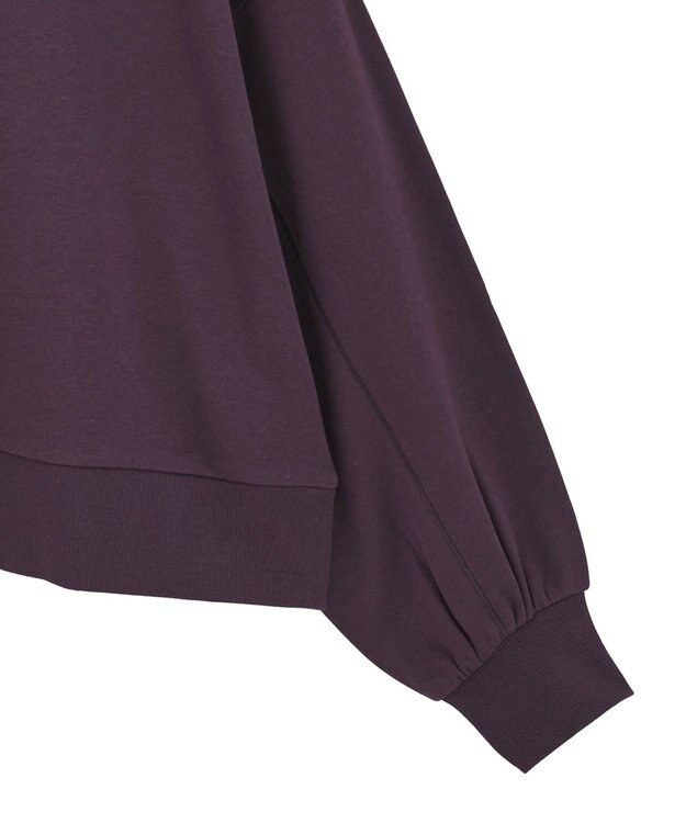 AMERICAN HOLIC 裏毛クロップドプルオーバー Wine