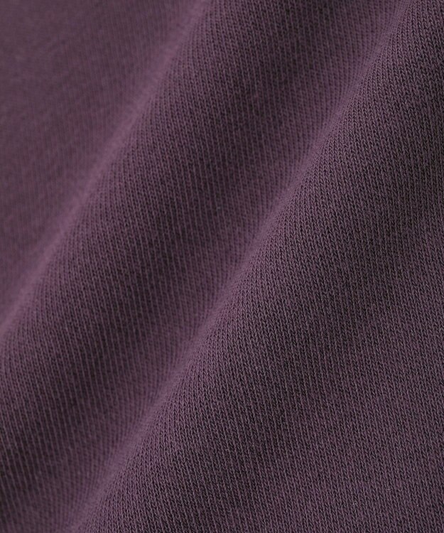 AMERICAN HOLIC 裏毛クロップドプルオーバー Wine