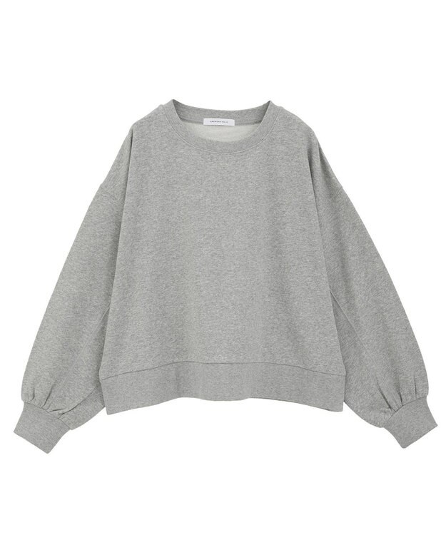 AMERICAN HOLIC 裏毛クロップドプルオーバー Gray Mixture