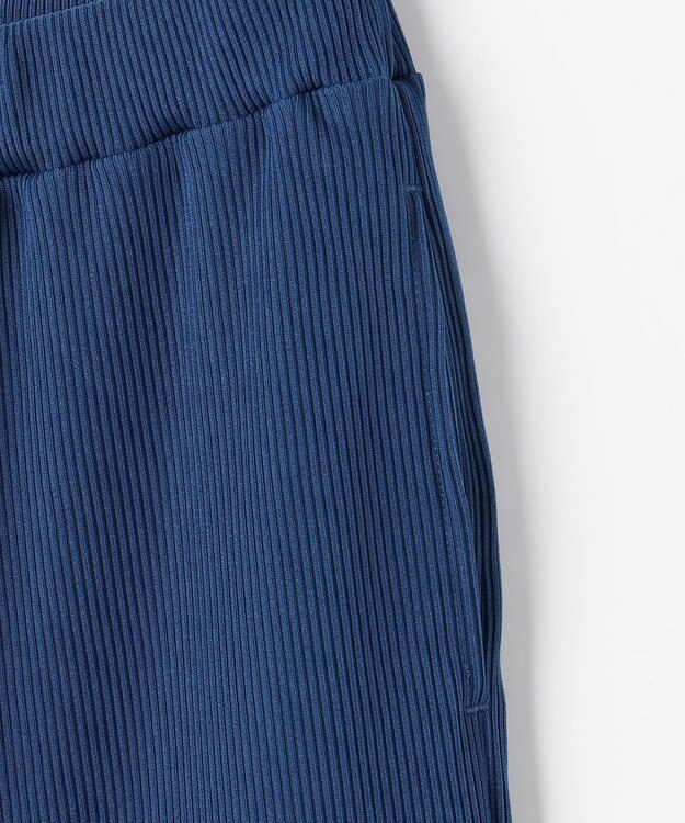 ANY L テレコイージーパンツ ブルー