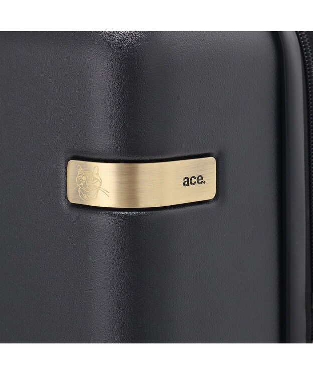 ACE BAGS & LUGGAGE HAyU × ace.  パキラ スーツケース 48L 05782 エース ブラック