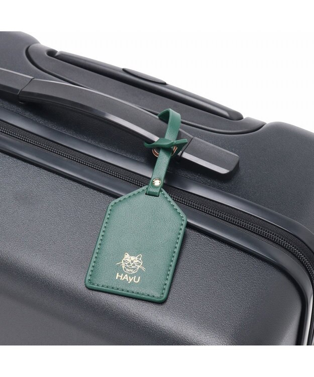 ACE BAGS & LUGGAGE HAyU × ace.  パキラ スーツケース 48L 05782 エース ブラック