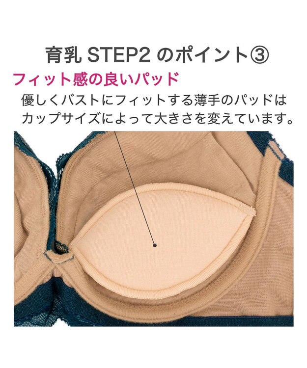 BRADELIS New York 【BRADELIS New York/ ワイヤー 育乳補整ブラ】ナオミステップ2ブラ24A2 ブラデリス 補正 ブラジャーSTEP2 寄せる ミッドナイトブルー