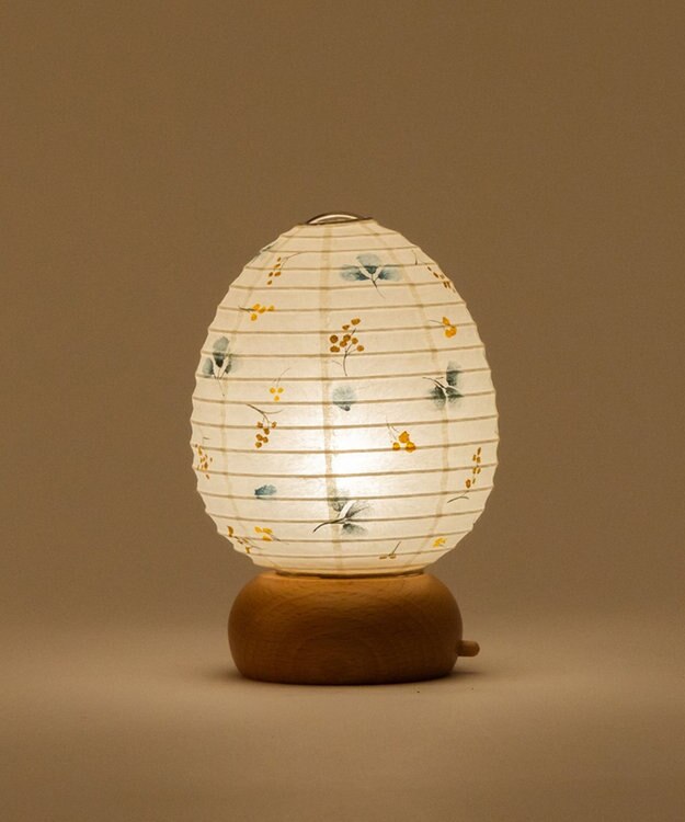 ちょうちん堂 【あかり道】〈手書絵付〉ユーカリモモザ ちょうちん ライト ホワイト