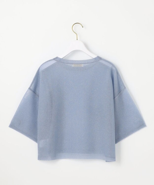 ANY SIS L 【洗える】シアー ニットT ブルー