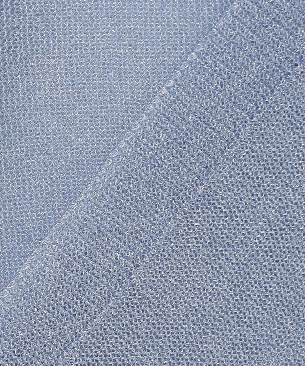 ANY SIS L 【洗える】シアー ニットT ブルー