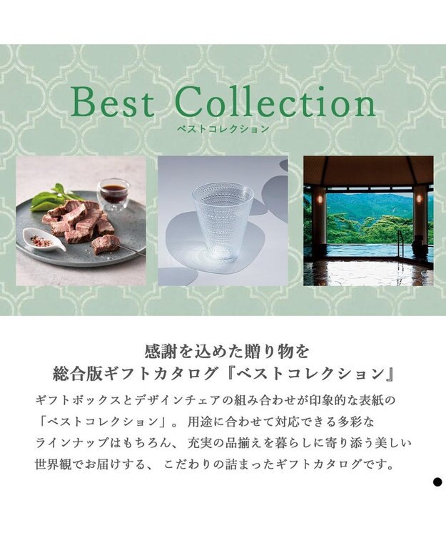 antina gift studio ベストコレクション ＜Saintpaulia-(セントポーリア)＞ -