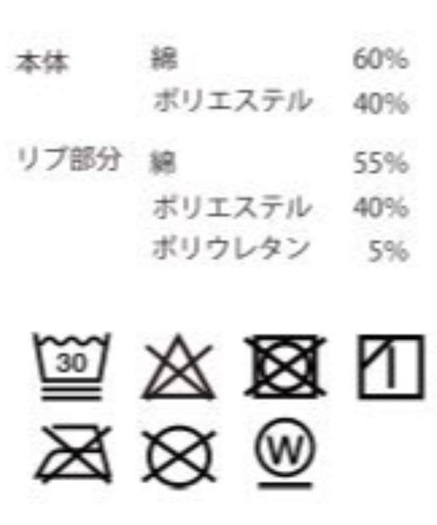 WEGO ヘビーウエイトラインスリーブプルオーバー ブラック