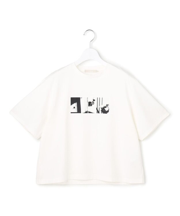 ICB クロップド ロゴTEE（フォトプリント） オフホワイト