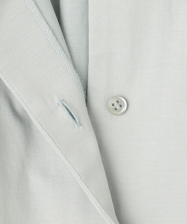 J.PRESS LADIES L 【吸水速乾】プレーティングジャージー バンドカラー カットソー ライトグリーン系