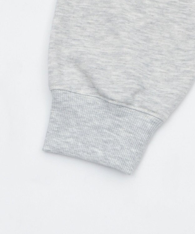 WEGO 【WEB限定/ユニセックス着用ITEM/25年秋冬新作/SMLサイズ展開】別注U.S.POLO ASSN.　ZIPパーカー 杢グレー