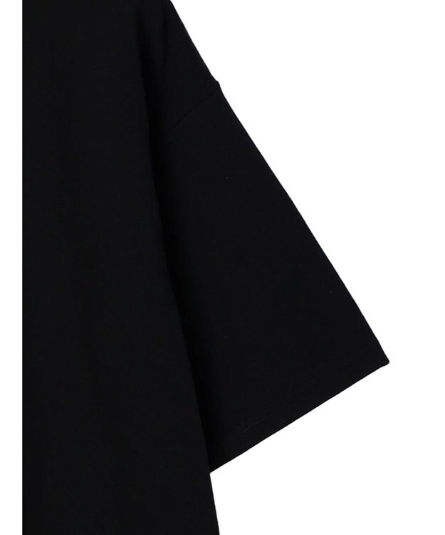 Green Parks Ｄｉｓｎｅｙ１００　／キラキラＴシャツ Black