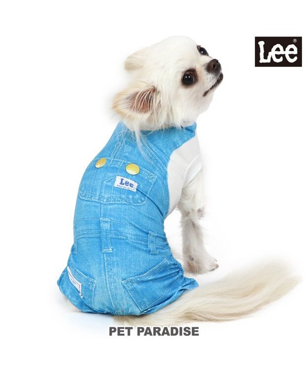 PET PARADISE Ｌｅｅ つなぎ風  ロンパース 【小型犬】《ブルー/オレンジ》クールマックスエコメイド ブルー