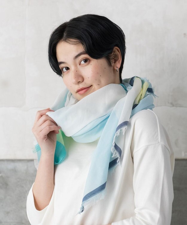 POLS 播州織 極細コットンストール グリーン